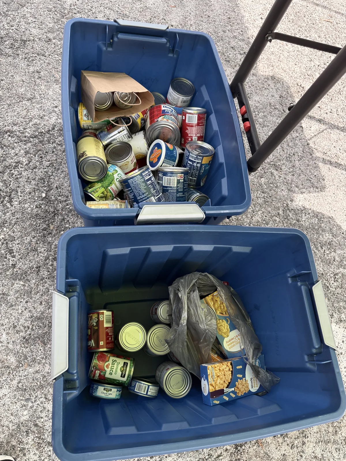 Bins of canned goods collected for the Sugar Mill food pantry at Cartoberfest